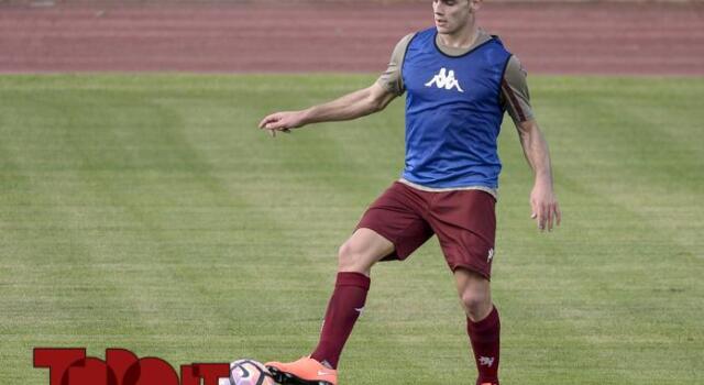 Sisport, oggi la rifinitura per il Toro in vista del Pisa