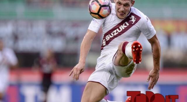 Toro-Bologna, è duello in attacco: Belotti sfida Destro