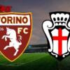 Primavera / Torino-Pro Vercelli 2-2