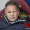 mihajlovic