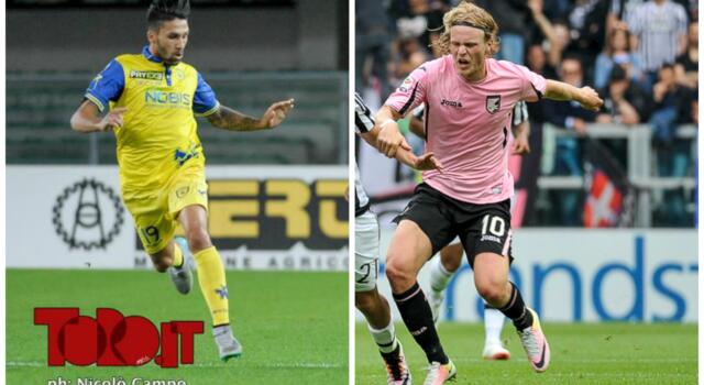 Toro: sfuma Hiljemark, ora tutto su Castro