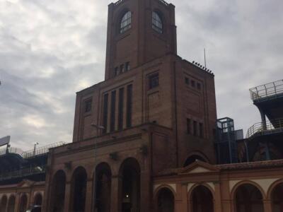 Bologna-Torino, dove vederla in tv e streaming