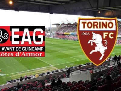 Guingamp-Torino 0-2: il tabellino