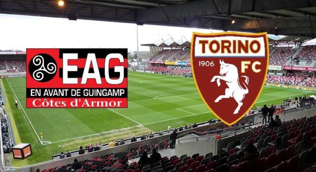 Guingamp-Torino 0-2: il tabellino
