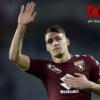 Belotti