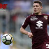 Belotti