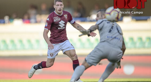 Toro, i lettori con Mancini: giusto non convocare Belotti in Nazionale