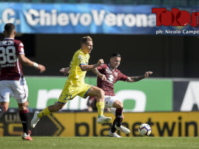 Torino-Chievo: numeri e curiosità della sfida di domenica