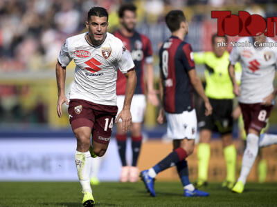 Bologna-Torino 2-2: le statistiche della partita