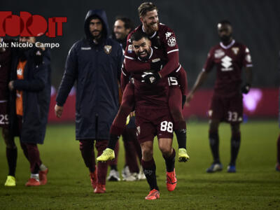 Numeri e curiosità sul Torino