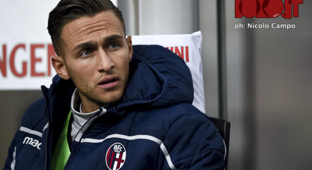 Edera, a Bologna lo aspetta Mihajlovic