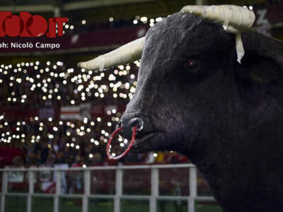 Maratona esaurita, Distinti quasi: Toro, contro il Sassuolo altro pienone