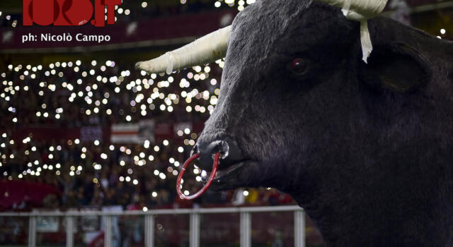 Maratona esaurita, Distinti quasi: Toro, contro il Sassuolo altro pienone