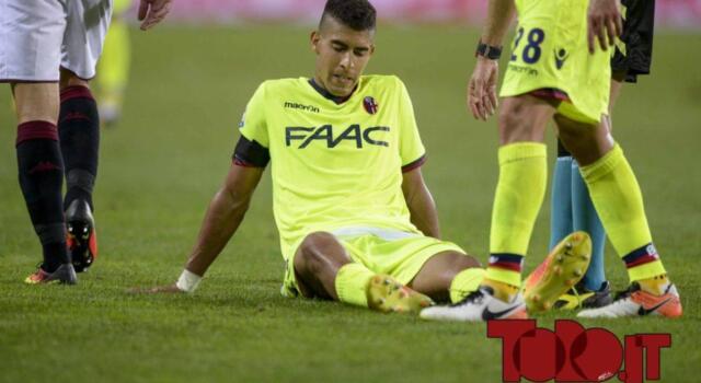 Toro, sondaggio per Adam Masina: un altro profilo per la fascia sinistra