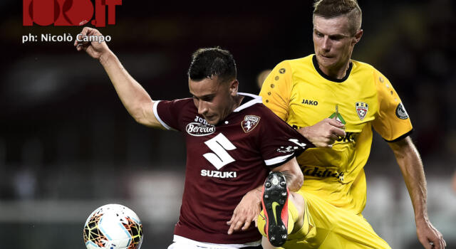 Torino-Shakhtyor Soligorsk, spettatori e incasso