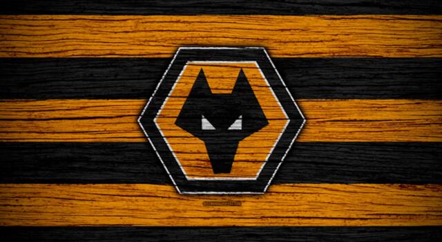 Toro, attento al lupo!