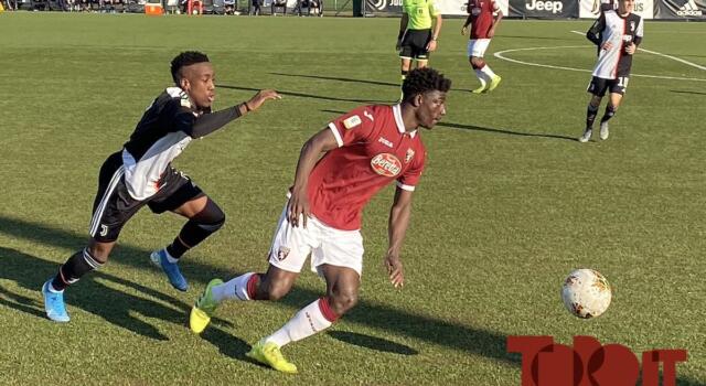 Filadelfia, l’allenamento del Toro: anche Adopo in gruppo