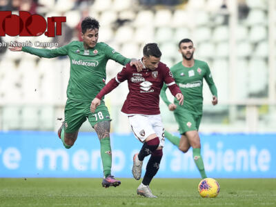 Giudice sportivo, nessuno squalificato per Torino e Fiorentina