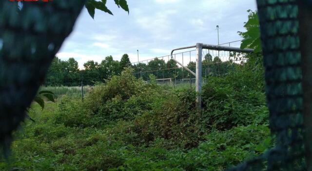 Cairo, le frecciate sul Robaldo e l’invidia della Spal: sulle strutture serve un cambio di passo