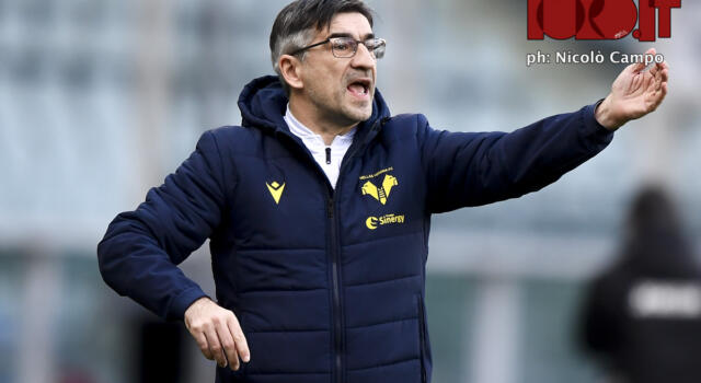 Ecco come giocherà il Toro con Juric