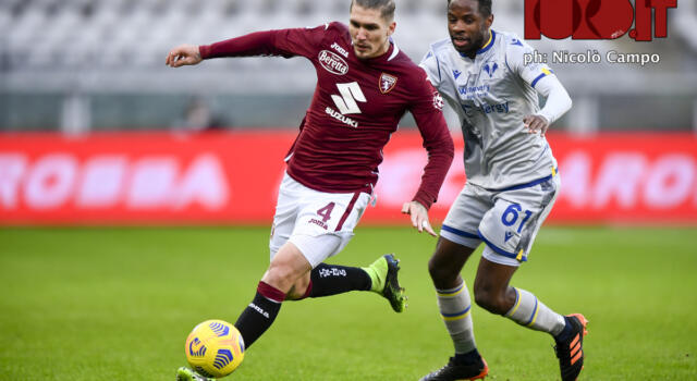 Giudice Sportivo: nessuno squalificato per il Toro, Verona senza Tameze