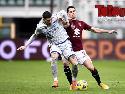Hellas Verona-Torino: i precedenti sorridono alla squadra granata