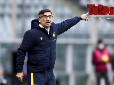 Lo stipendio di Juric: quanto guadagna al Torino