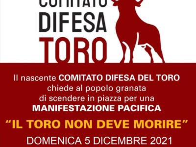 Comitato di difesa del Toro: oggi la manifestazione a Torino