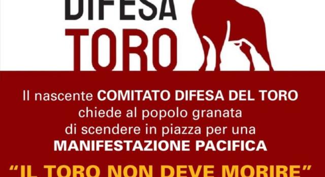 Comitato di difesa del Toro: oggi la manifestazione a Torino