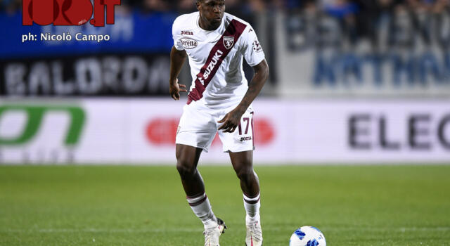 Torino, Singo operato