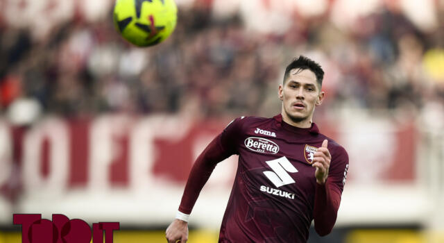 Giudice Sportivo: Torino-Spezia senza squalificati, Lukic entra in diffida