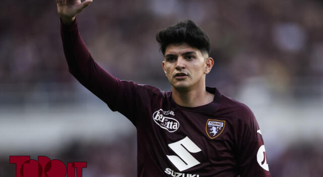 Da Zapata a Bellanova: tutte le cifre degli acquisti del Torino nel 2023