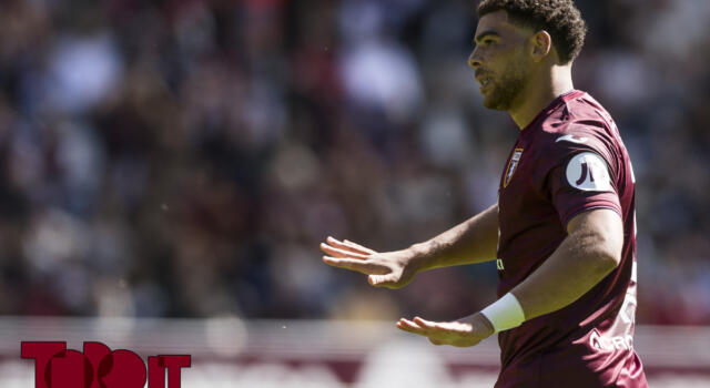 Torna Milinkovic, Adams favorito su Sanabria: la probabile formazione del Torino