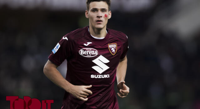 Fiorentina-Torino, i convocati: torna Gineitis