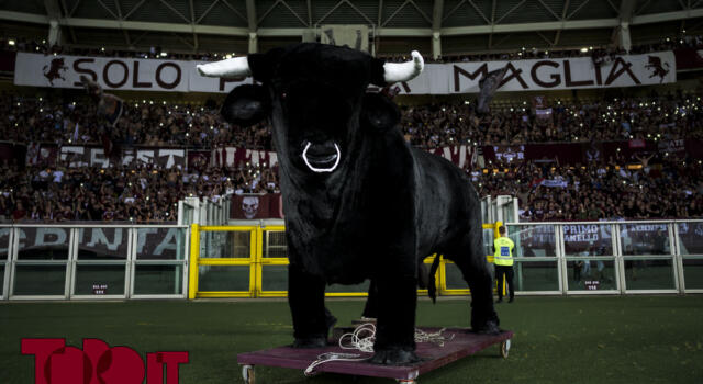 Torino, incidente in curva Maratona: interpellanza comunale per la sicurezza dello stadio