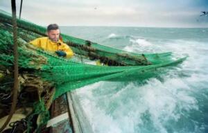 Immagine-WhatsApp-2024-07-11-ore-11.57.11_74b0fe5d