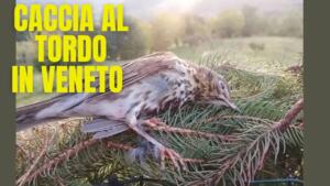 maxresdefault-875424563