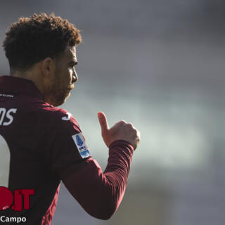 Calciomercato Torino, da Adams a Ilic: i giocatori in bilico