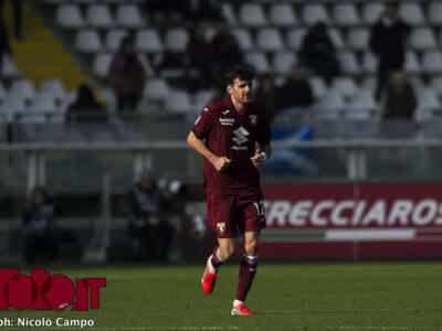 Il Torino cambia pelle: il mercato apre nuove soluzioni in attacco