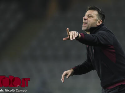 Il nuovo Torino prende forma: le idee di D’Aversa ridisegnano i granata