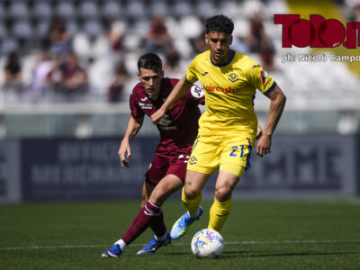Torino-Verona, le statistiche: scaligeri più pericolosi e più propositivi