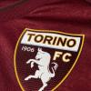Sondaggio / Vi piace la nuova maglia del Torino?