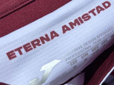 Vi piace la seconda maglia del Torino?