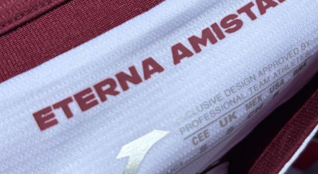 Vi piace la seconda maglia del Torino?
