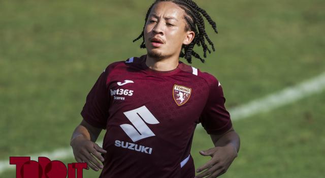 Torino, a centrocampo il doppio regista è una possibilità