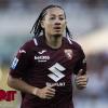 Torino, Fitz-Jim cerca continuità: anche Ilkhan lo insidia