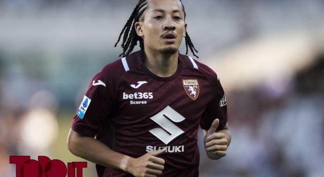 Torino, Fitz-Jim cerca continuità: anche Ilkhan lo insidia