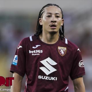 Fitz-Jim e la pausa: l’olandese lavora per prendersi il Torino