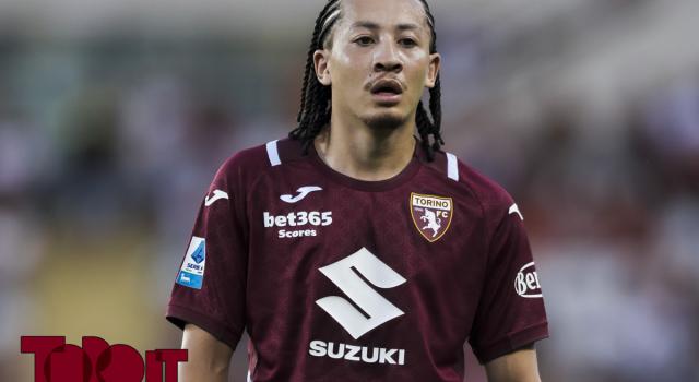 Fitz-Jim e la pausa: l’olandese lavora per prendersi il Torino