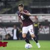 Torino-Udinese, i granata si impongono 2-1: ecco cosa dicono le statistiche